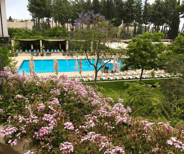 Why do Swimming Pools Attract Bugs?